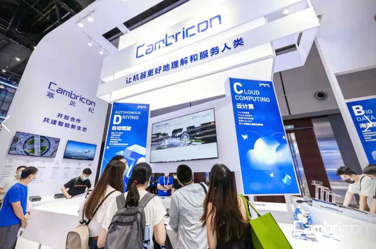 寒王寒武纪，是泡沫还是真金？